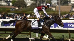 运动会策划与执行